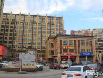苏州苏锦街道神马公寓投资回报率[强者之选]