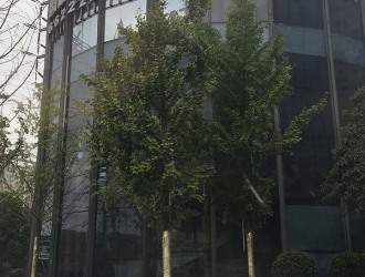 长沙红星双塔国际广场详情-【写字楼出租网】